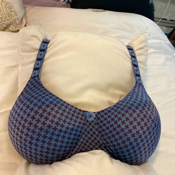 Rosa faia beautiful cup h - Picture 2 of 11